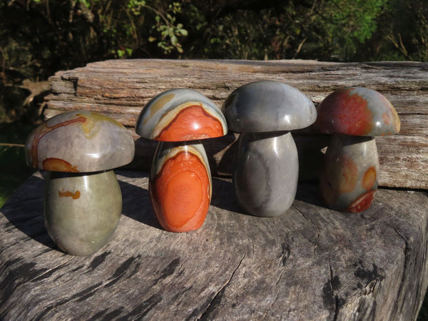 Polished Polychrome / Picasso Jasper Mushrooms x 4 From Madagascar - TopRock