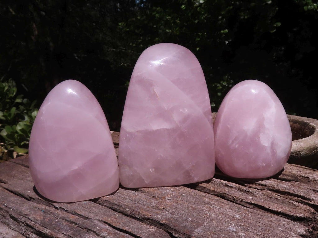 Polished Gemmy Rose Quartz Standing Free Forms  x 3 From Ambatondrazaka, Madagascar - TopRock