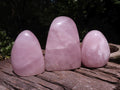 Polished Gemmy Rose Quartz Standing Free Forms  x 3 From Ambatondrazaka, Madagascar - TopRock