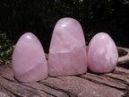 Polished Gemmy Rose Quartz Standing Free Forms  x 3 From Ambatondrazaka, Madagascar - TopRock