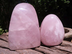 Polished Gemmy Rose Quartz Standing Free Forms  x 3 From Ambatondrazaka, Madagascar - TopRock