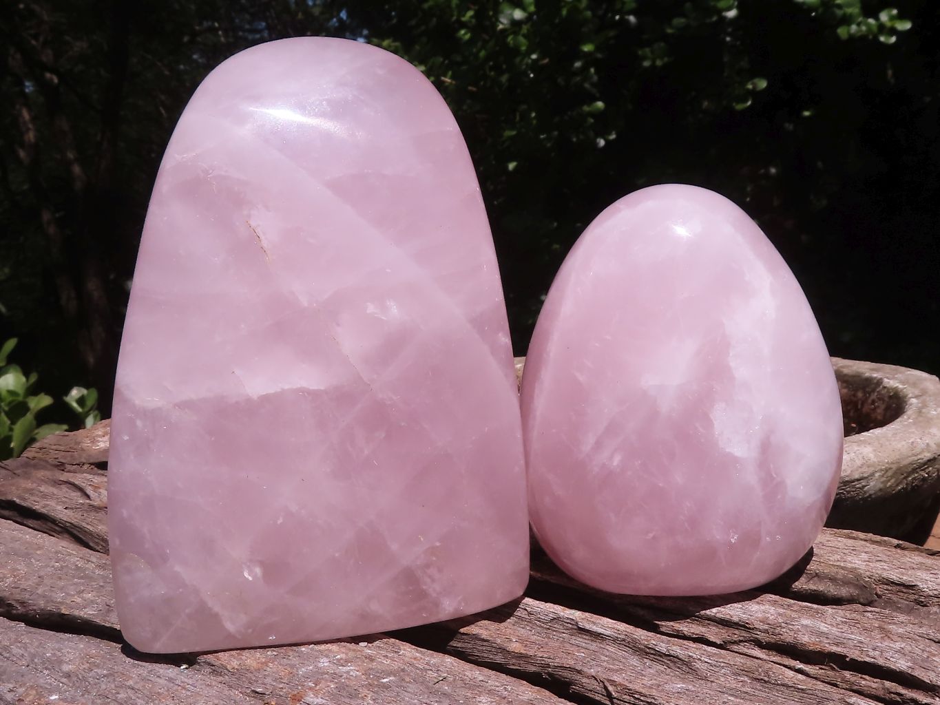 Polished Gemmy Rose Quartz Standing Free Forms  x 3 From Ambatondrazaka, Madagascar - TopRock