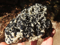 Natural Schorl Black Tourmaline With Vermiculite Specimens X 3 From Erongo, Namibia - Toprock Gemstones and Minerals 