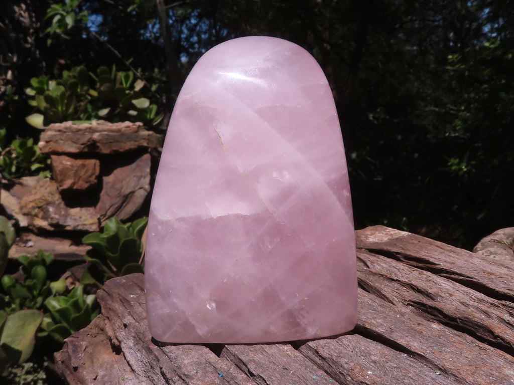 Polished Gemmy Rose Quartz Standing Free Forms  x 3 From Ambatondrazaka, Madagascar - TopRock