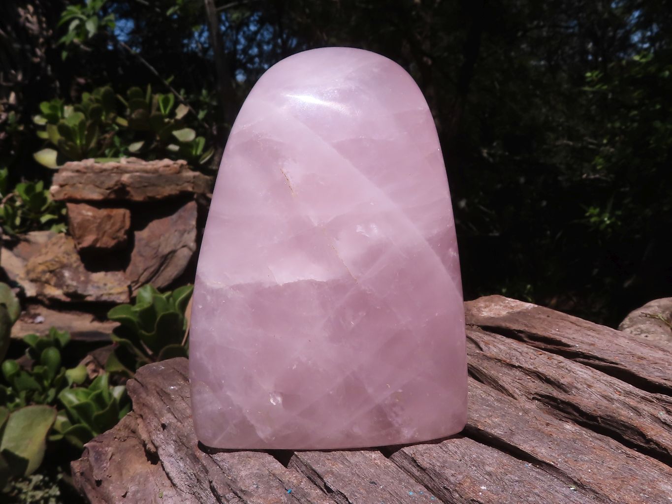 Polished Gemmy Rose Quartz Standing Free Forms  x 3 From Ambatondrazaka, Madagascar - TopRock