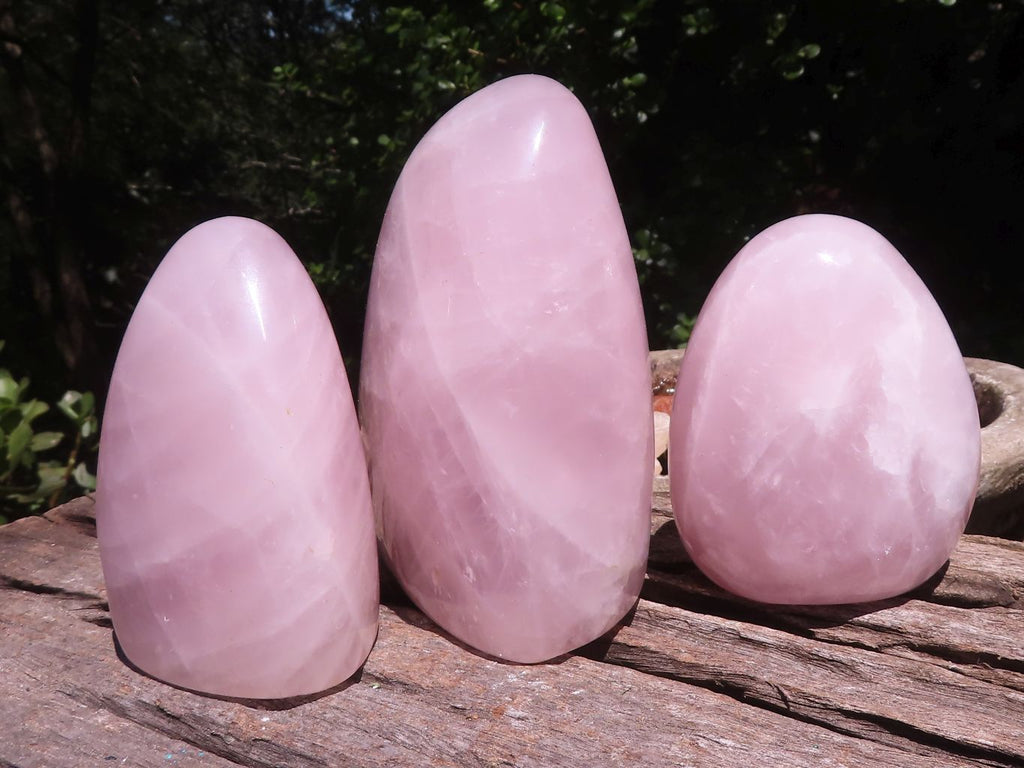 Polished Gemmy Rose Quartz Standing Free Forms  x 3 From Ambatondrazaka, Madagascar - TopRock