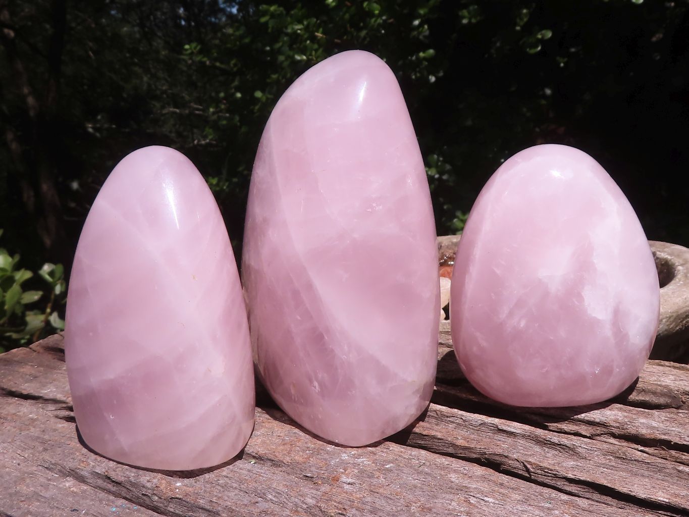 Polished Gemmy Rose Quartz Standing Free Forms  x 3 From Ambatondrazaka, Madagascar - TopRock