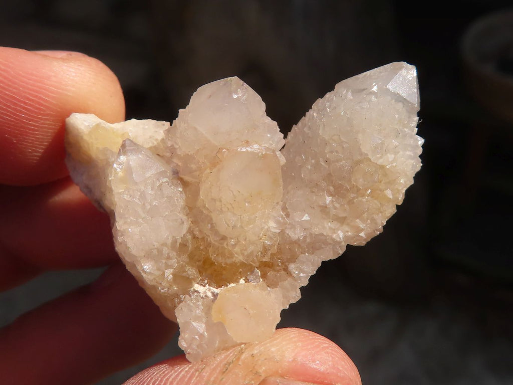 Natural Mixed Spirit Quartz Crystals x 70 From Boekenhouthoek, South Africa - Toprock Gemstones and Minerals 