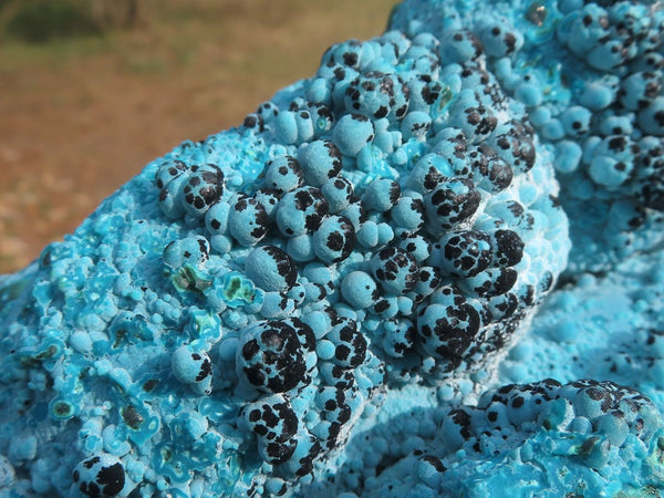 Natural Extra Large Blue Botryoidal Chrysocolla Specimen With Silky Malachite & Black Heterogonite x 1 From Kulukuluku, Congo - TopRock