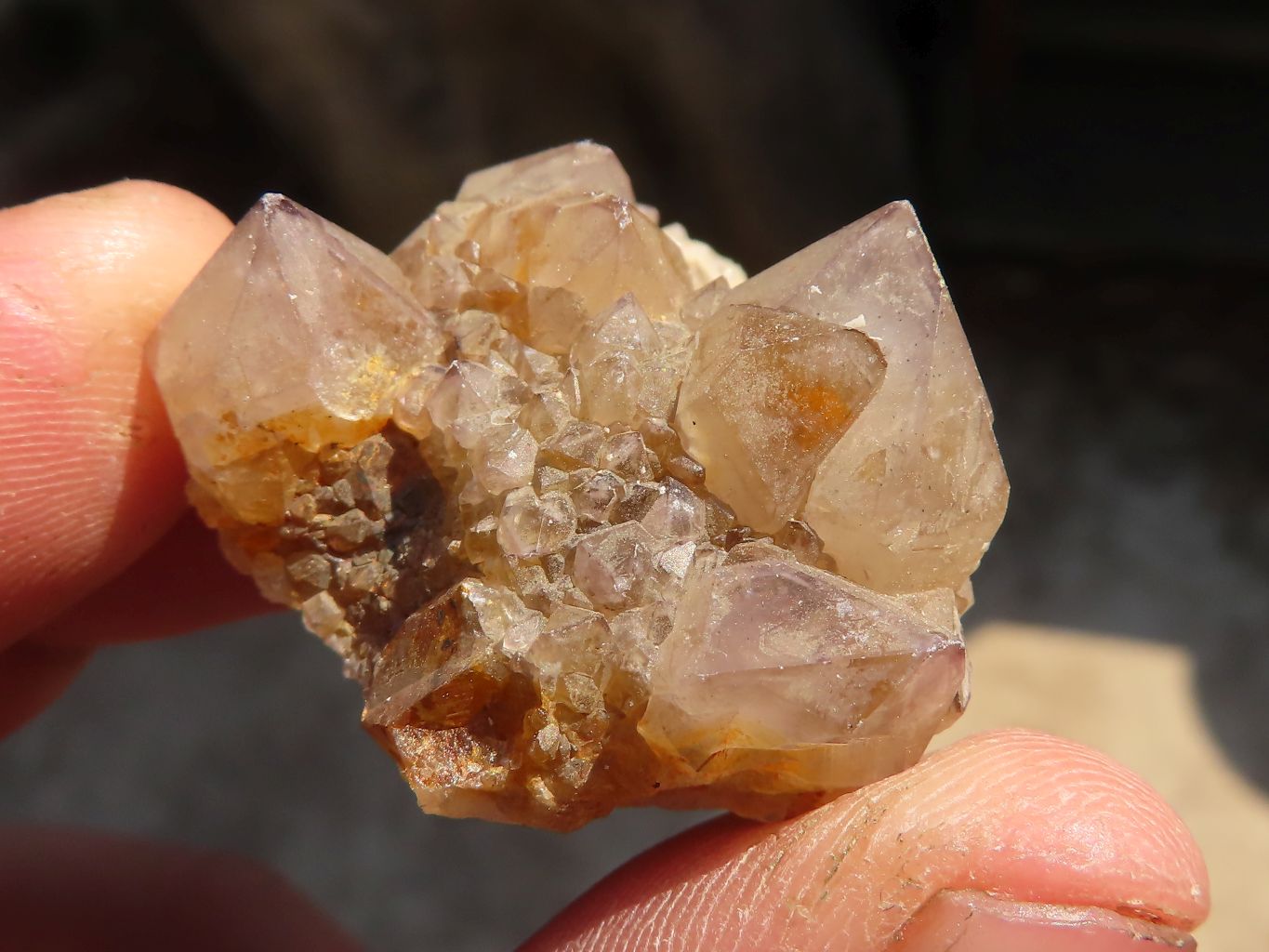 Natural Mixed Spirit Quartz Crystals x 70 From Boekenhouthoek, South Africa - Toprock Gemstones and Minerals 