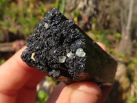 Natural Schorl Black Tourmaline Specimens x 6 From Erongo, Namibia - Toprock Gemstones and Minerals 