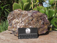 Natural Purpurite Specimen x 1 From Namibia - TopRock
