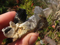 Natural Schorl Black Tourmaline Specimens x 6 From Erongo, Namibia - Toprock Gemstones and Minerals 