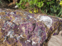 Natural Purpurite Specimen x 1 From Namibia - TopRock