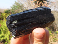 Natural Schorl Black Tourmaline Specimens x 6 From Erongo, Namibia - Toprock Gemstones and Minerals 