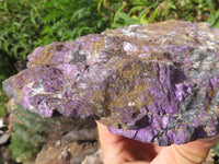 Natural Purpurite Specimen x 1 From Namibia - TopRock