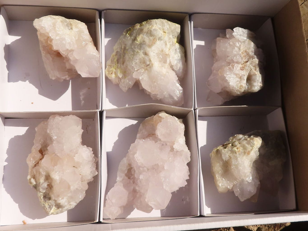 Natural White Cactus Flower Spirit Quartz Specimens  x 6 From Boekenhouthoek, South Africa - Toprock Gemstones and Minerals 