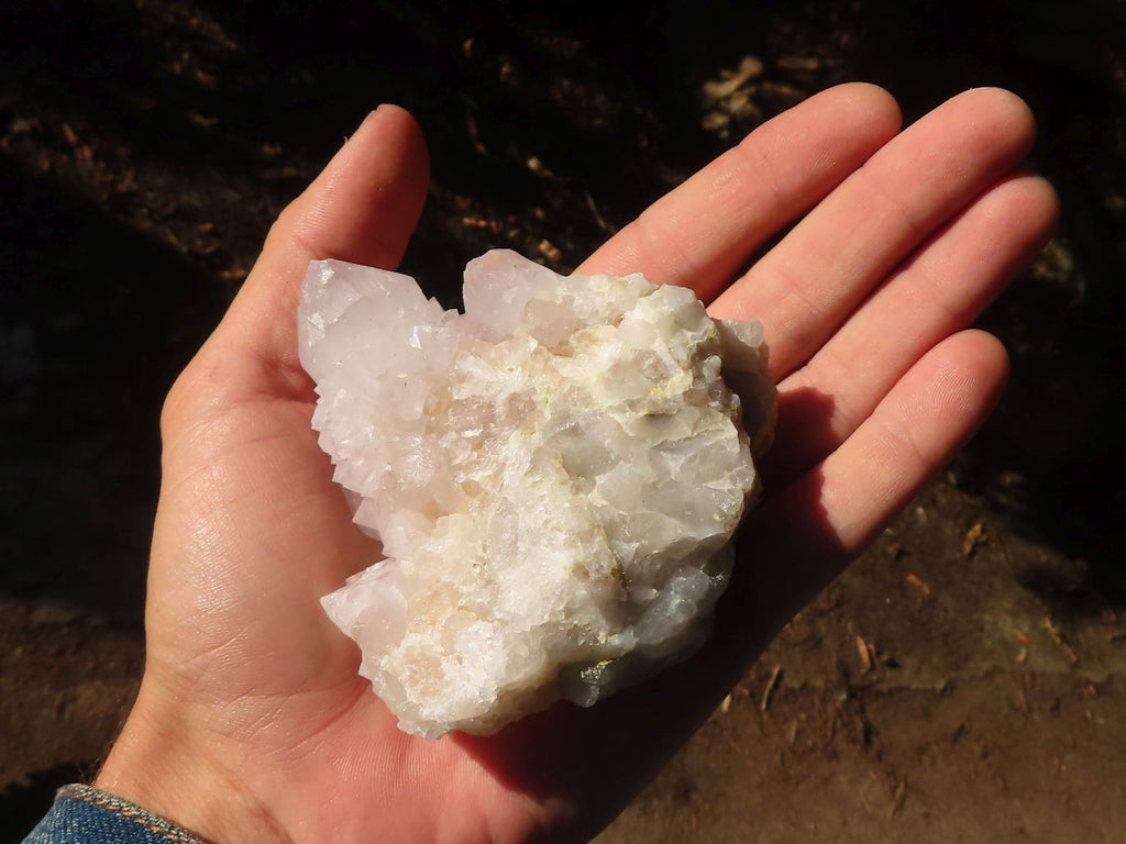 Natural White Cactus Flower Spirit Quartz Specimens  x 6 From Boekenhouthoek, South Africa - Toprock Gemstones and Minerals 