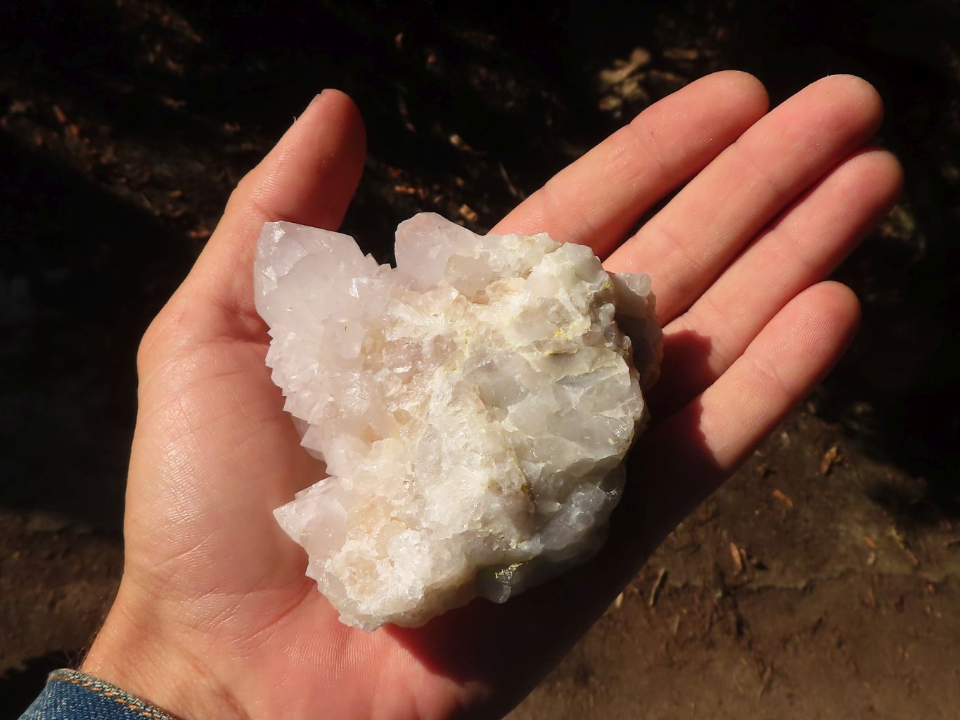 Natural White Cactus Flower Spirit Quartz Specimens  x 6 From Boekenhouthoek, South Africa - Toprock Gemstones and Minerals 