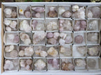 Natural Pale Cactus Flower Spirit Quartz Crystals  x 62 From Boekenhouthoek, South Africa - TopRock