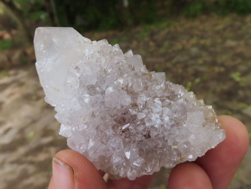 Natural Pale Cactus Flower Spirit Quartz Crystals  x 62 From Boekenhouthoek, South Africa - TopRock