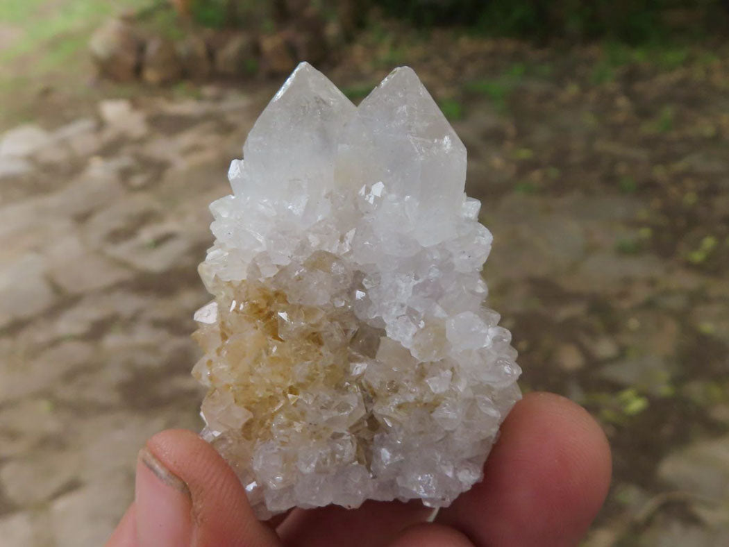 Natural Pale Cactus Flower Spirit Quartz Crystals  x 62 From Boekenhouthoek, South Africa - TopRock
