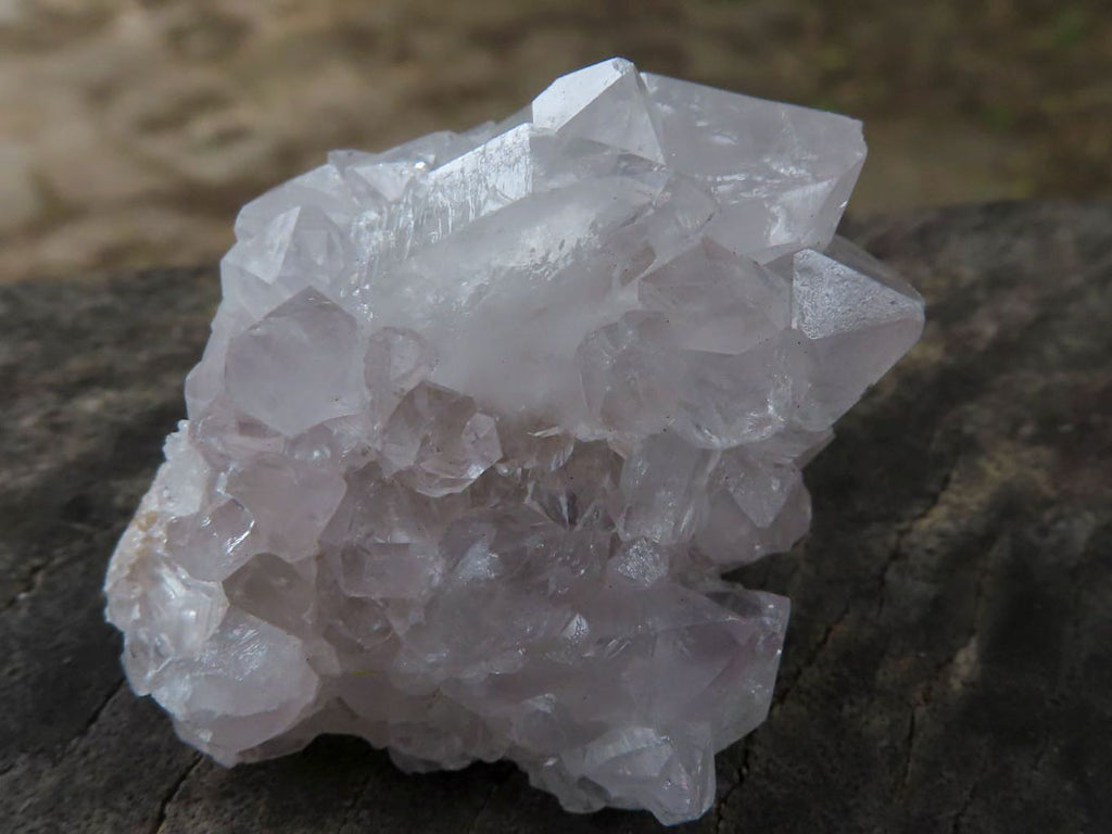 Natural Pale Cactus Flower Spirit Quartz Crystals  x 62 From Boekenhouthoek, South Africa - TopRock