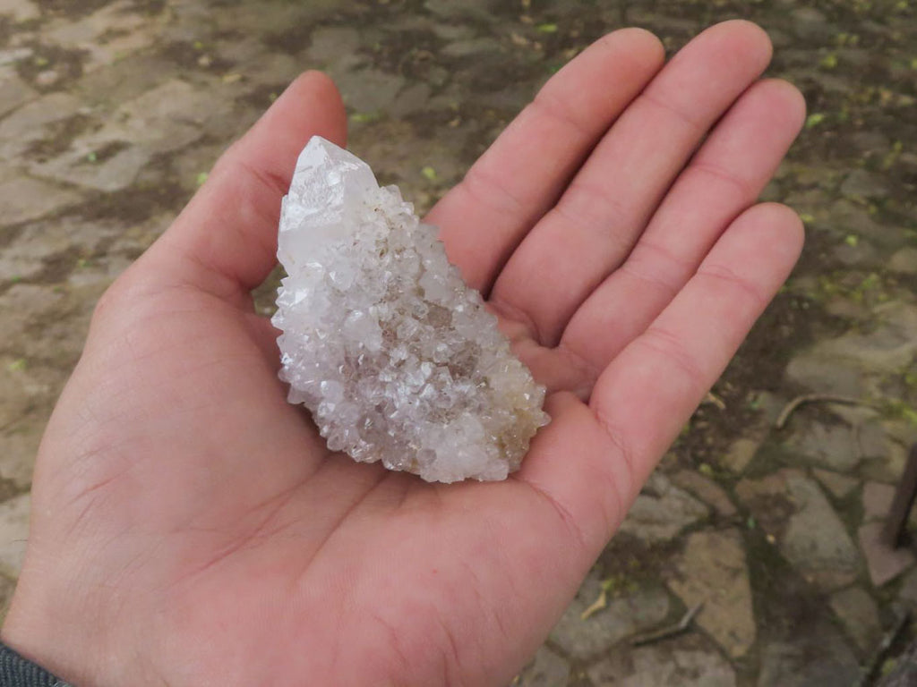 Natural Pale Cactus Flower Spirit Quartz Crystals  x 62 From Boekenhouthoek, South Africa - TopRock