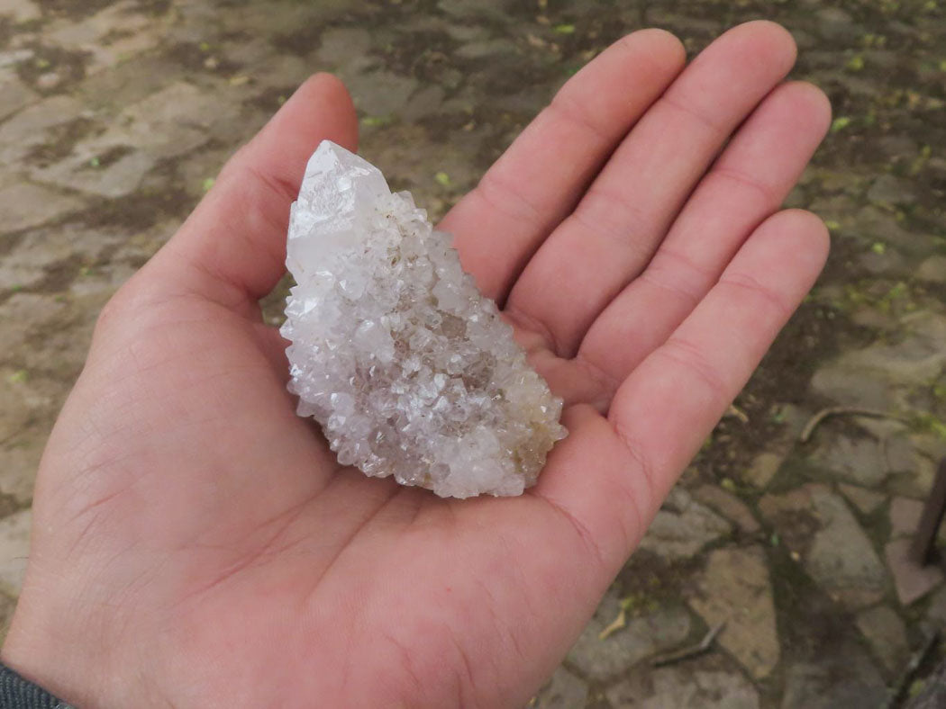 Natural Pale Cactus Flower Spirit Quartz Crystals  x 62 From Boekenhouthoek, South Africa - TopRock