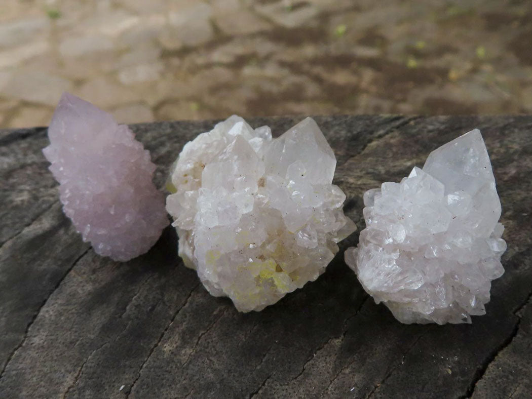 Natural Pale Cactus Flower Spirit Quartz Crystals  x 62 From Boekenhouthoek, South Africa - TopRock