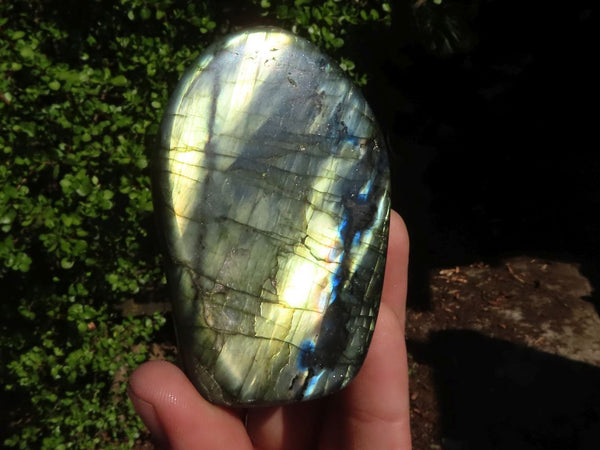 Polished Labradorite Standing Free Forms With Blue & Gold Flash  x 6 From Tulear, Madagascar - Toprock Gemstones and Minerals 