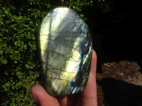 Polished Labradorite Standing Free Forms With Blue & Gold Flash  x 6 From Tulear, Madagascar