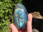 Polished Labradorite Standing Free Forms With Blue & Gold Flash  x 6 From Tulear, Madagascar - Toprock Gemstones and Minerals 