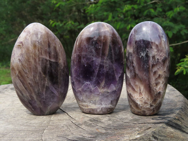 Polished Amethyst Standing Free Forms  x 3 From Madagascar - TopRock
