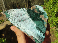Natural Drusy Coated Chrysocolla & Malachite Dolomite Specimens x 4 From Likasi, Congo - Toprock Gemstones and Minerals 