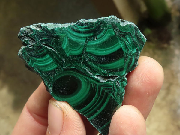 Polished Small Malachite Slices With Stunning Flower & Banding Patterns  x 12 From Congo - TopRock