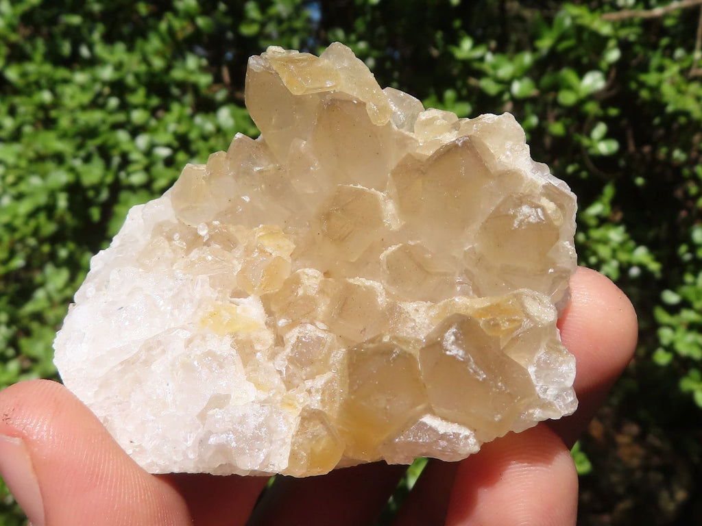 Natural Small Golden Lemonite / Limonite Quartz Clusters  x 35 From Zambia - Toprock Gemstones and Minerals 