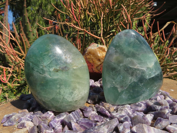 Polished Watermelon Fluorite Standing Free Forms x 2 From Vis, Namibia - TopRock