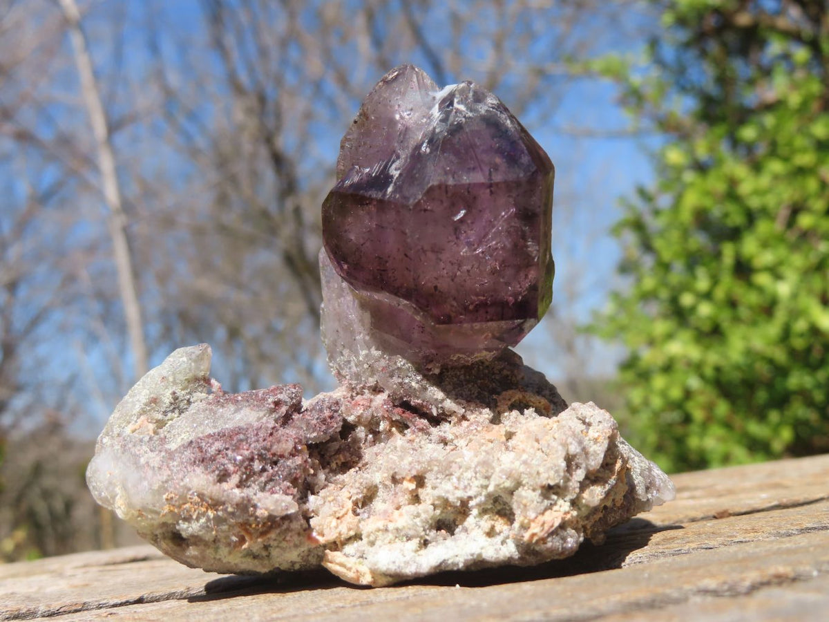 Polished Mixed Selection Of Retail Items  x 6 From Southern Africa - Toprock Gemstones and Minerals 