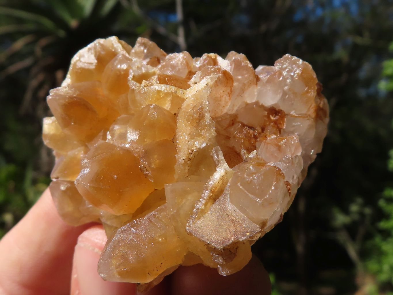 Natural Small Golden Lemonite / Limonite Quartz Clusters  x 35 From Zambia - Toprock Gemstones and Minerals 