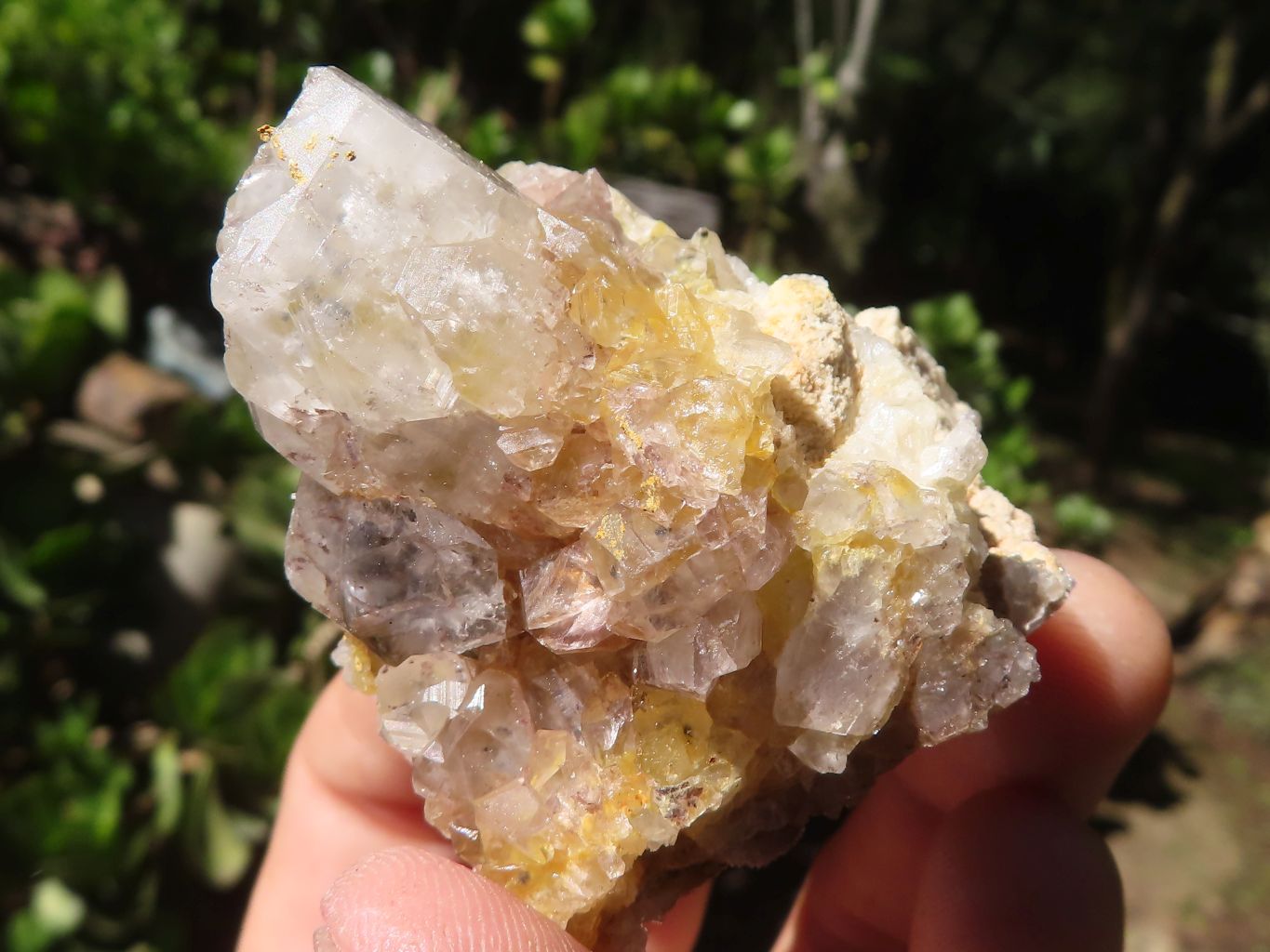 Natural Small Golden Lemonite / Limonite Quartz Clusters  x 35 From Zambia - Toprock Gemstones and Minerals 