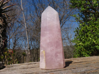 Polished Mixed Selection Of Retail Items  x 6 From Southern Africa - Toprock Gemstones and Minerals 