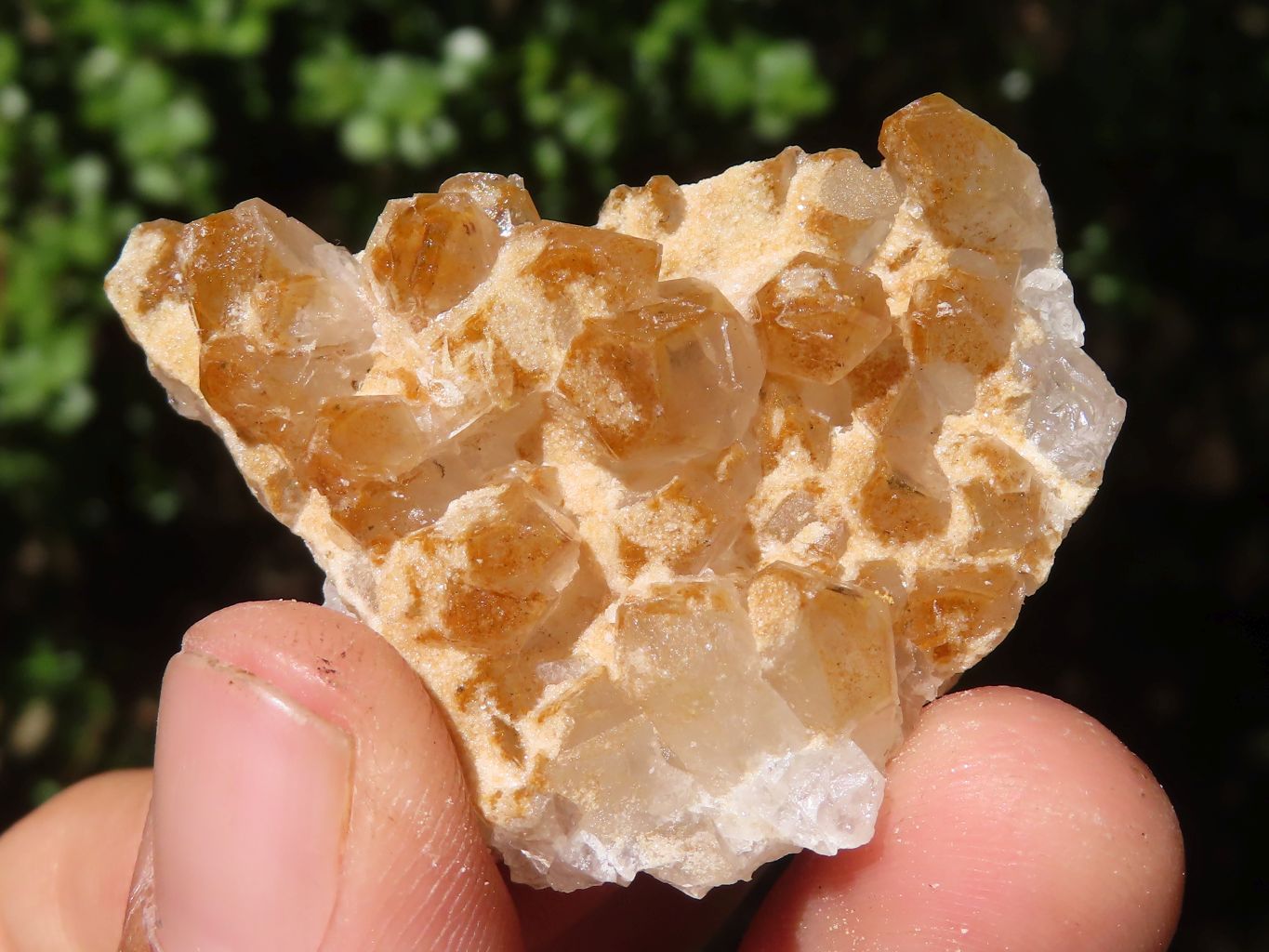 Natural Small Golden Lemonite / Limonite Quartz Clusters  x 35 From Zambia - Toprock Gemstones and Minerals 