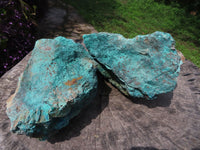 Natural Solid Chrysocolla, Cuprite & Shattuckite Specimens x 2 From Kaokoveld, Namibia - TopRock