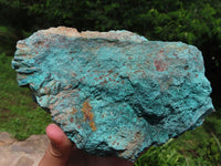 Natural Solid Chrysocolla, Cuprite & Shattuckite Specimens x 2 From Kaokoveld, Namibia - TopRock