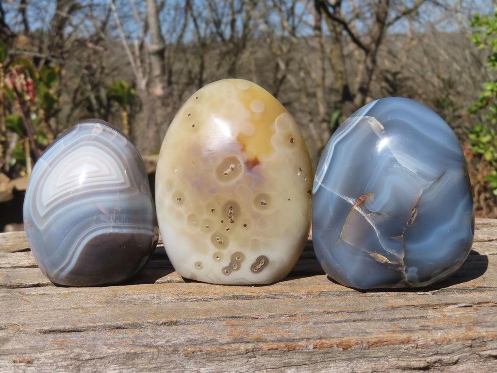Polished Agate Standing Free Forms x 6 From West Coast, Madagascar - Toprock Gemstones and Minerals 