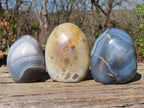 Polished Agate Standing Free Forms x 6 From West Coast, Madagascar - Toprock Gemstones and Minerals 