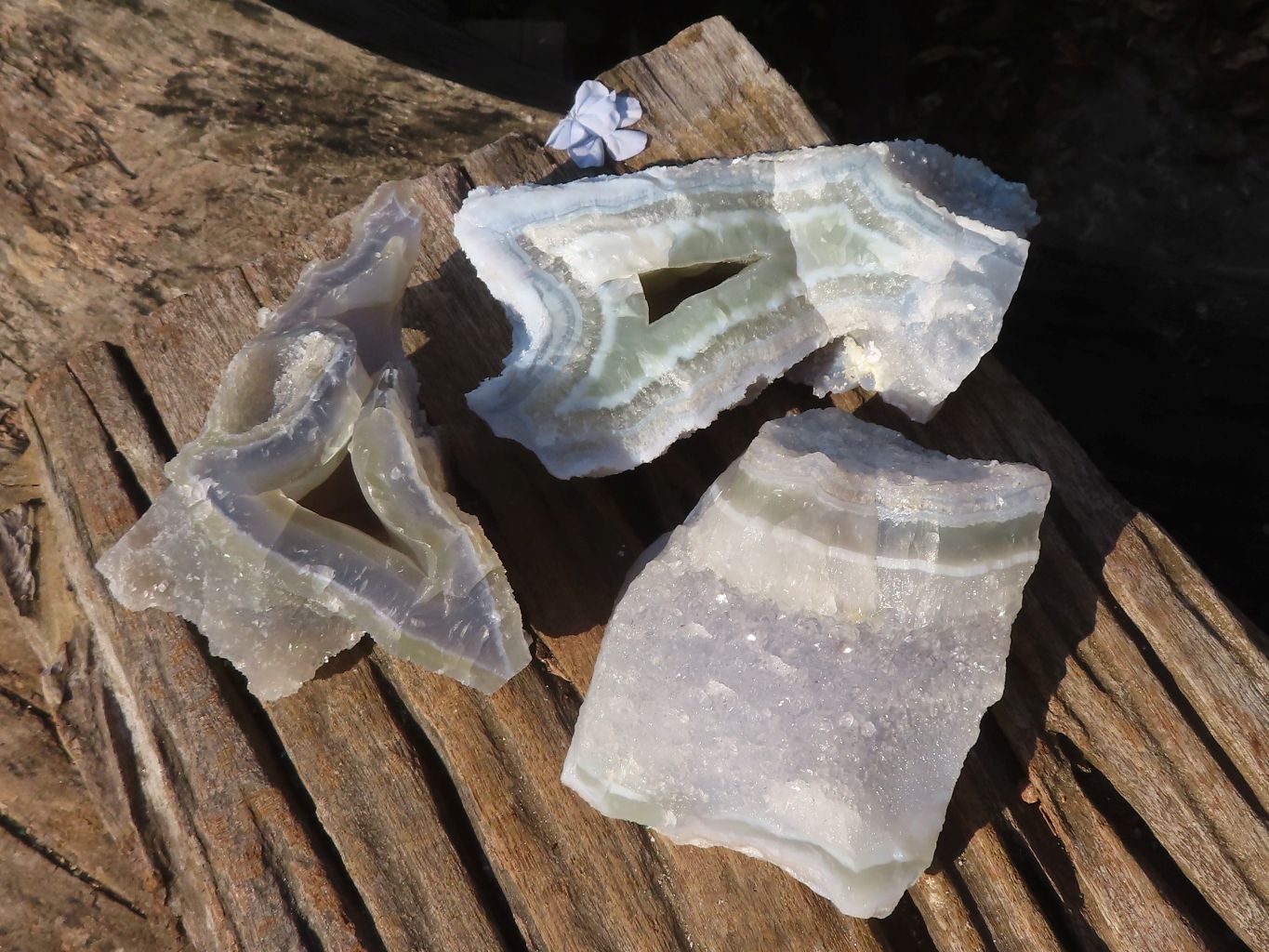 Natural Etched Blue Chalcedony Specimens  x 3 From Nsanje, Malawi - Toprock Gemstones and Minerals 