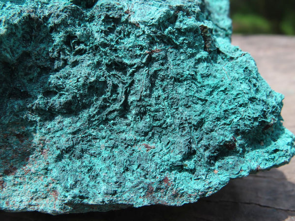 Natural Solid Chrysocolla, Cuprite & Shattuckite Specimens x 2 From Kaokoveld, Namibia - TopRock