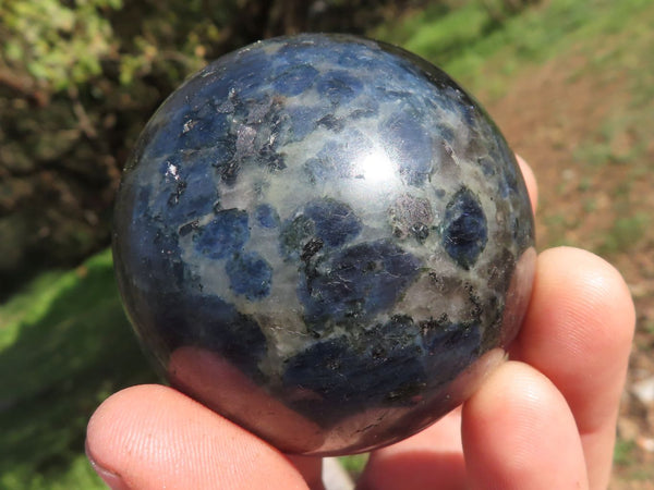 Polished Semi Gemmy Specular Iolite Water Sapphire Spheres x 5 From Madagascar - TopRock